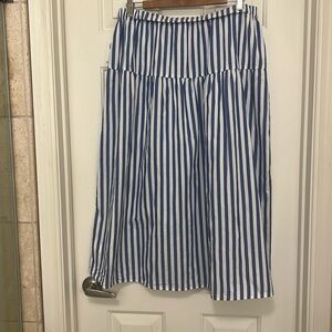 NWT blue and white stripe skirt